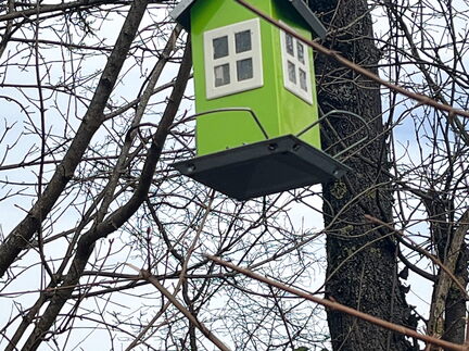 23-03-17 12-25-27 4906